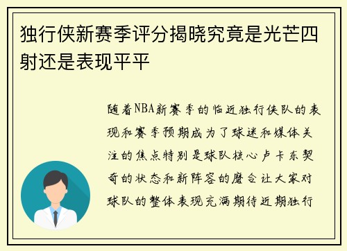 独行侠新赛季评分揭晓究竟是光芒四射还是表现平平