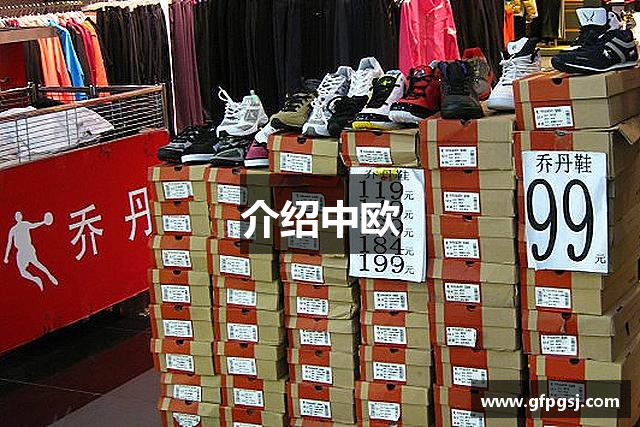 介绍中欧
